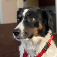 Candy (@candylo457899) 's Twitter Profile