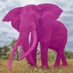 The Pink Elephant - sharp, witty, and unapologetic (@pinkdesigndesk) Twitter profile photo The Pink Elephant - sharp, witty, and unapologetic (@pinkdesigndesk) Twitter profile photo