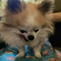 じょう☺︎ (@r3hab_50) Twitter profile photo