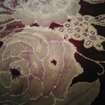 hamid01733's profile picture. سلام