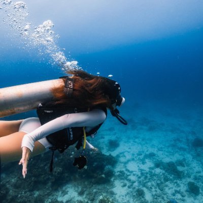 AnneLeeBi1's profile picture. 앞으로는 열심히 일해야 할 뿐만 아니라 자신에게 친절해야 합니다.🌈