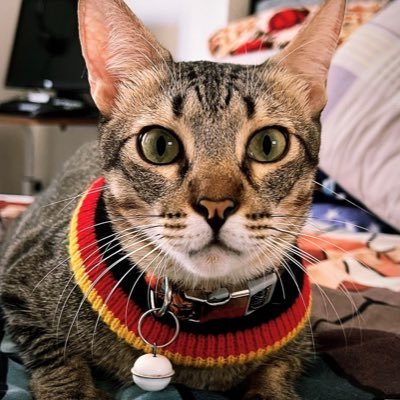 _iamdaze's profile picture. Pipiliin ka sa araw-araw ☾♡