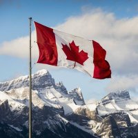 Canadian eh ๐จ๐ฆ (@marcinthecity) 's Twitter Profile Photo Canadian eh ๐จ๐ฆ (@marcinthecity) 's Twitter Profile Photo