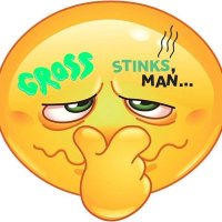 Nasty Toilet Dude 🚽 (@nastytoiletdude) 's Twitter Profile Photo