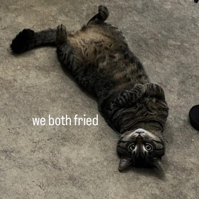 kkiriinn's profile picture. #FearTheDeer #MarlinsBeisbol #NYGiants