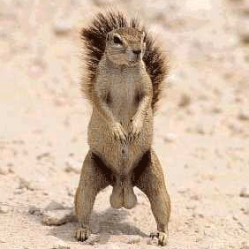 loscolganderos's profile picture. La excelencia se lleva colgandera