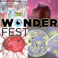 Wonderfest(@wonderfest) 's Twitter Profile Photo