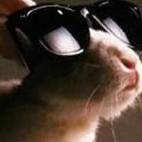 Schnubele on the NET (@schnubele) 's Twitter Profile Photo