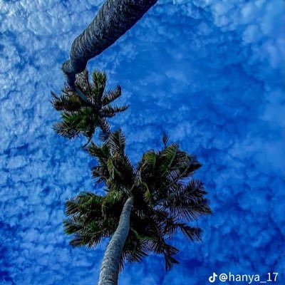 meleshke12's profile picture. 20 🤷🏽 lets just say fuck it lol