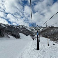 つつつ (@tsumechu) Twitter profile photo