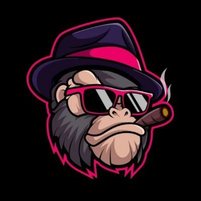 thecryptogenie0's profile picture. 100x Gem Quant.