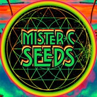 MisterCseeds (@mistercseeds) 's Twitter Profile