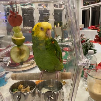 margot10098's profile picture. 