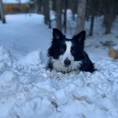 PardonXbl's profile picture. Yes it’s a diesel | Married 💍✨