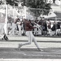 Cameron Templeton (@camerontem6439) 's Twitter Profile