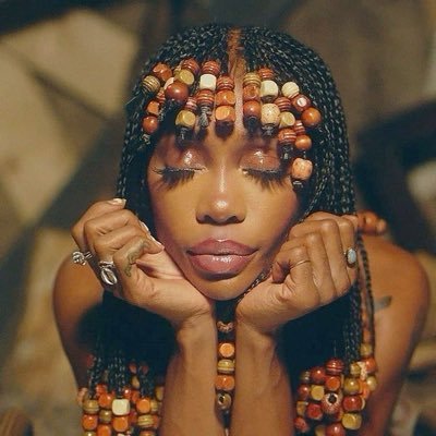 swan1399102's profile picture. ₊˚⊹🤎 sza | 🎧 LANA (SOS DELUXE)