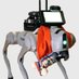 Bits the quadruped (@openmind_intern) Twitter profile photo Bits the quadruped (@openmind_intern) Twitter profile photo