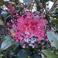 Hideki Takimoto (@hdktkmt) Twitter profile photo