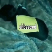 what the cheeze (@what_the_cheeze) 's Twitter Profile