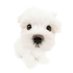 atinykartph 🛒 (@atinykartph) Twitter profile photo atinykartph 🛒 (@atinykartph) Twitter profile photo