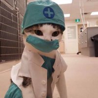 jill🫀 (@psychedmd) 's Twitter Profile