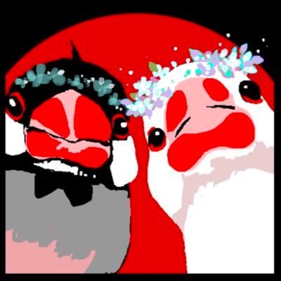 ショカコーラさんのプロフィール画像