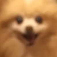 キラキラ (@lzmpt) 's Twitter Profile