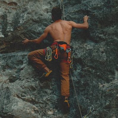 MonJar362542's profile picture. 