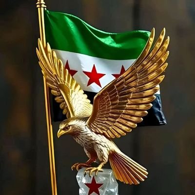 العقيد ابو صخر ضابط منشق عن عصابة الإجرام والبراميل والكيماوي إخترت طريق الحرية ووقفت مع أهلي وناسي في سوريا ثورة العزة والكرامه