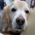 ãšã¬ã³ð¶@ãã£ã¡ãã (@eren_s2_muttyan) Twitter profile photo ãšã¬ã³ð¶@ãã£ã¡ãã (@eren_s2_muttyan) Twitter profile photo