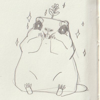 Choxiniさんのプロフィール画像