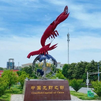 @CrayfishC1130