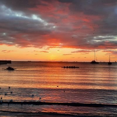 bora_serter's profile picture. 