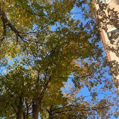 EliffBalkann's profile picture. 505