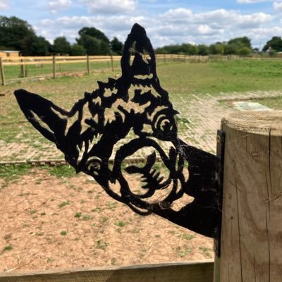 daveado16's profile picture. Train driver, geographer, qualified teacher, magazine editor, cat owner, dog walker, parkrunner, classic car nut, lover of poor signage, he/him