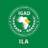 IGAD Leadership Academy (ILA) (@igadleadership) 's Twitter Profile Photo IGAD Leadership Academy (ILA) (@igadleadership) 's Twitter Profile Photo
