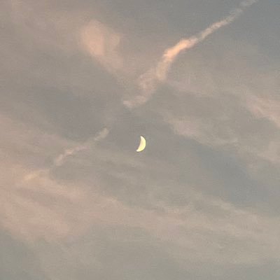 bibibi_nabibi's profile picture. 元統一教会二世　鬱　思ったこと発信してます