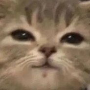 Zoooxei's profile picture. 