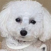 222c (@222c15) Twitter profile photo