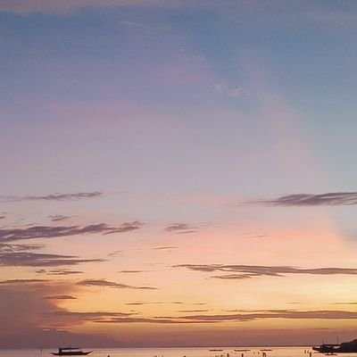 suzennrose's profile picture. Life is full of surprises.