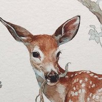 たんしの (@not_tansio) 's Twitter Profile Photo たんしの (@not_tansio) 's Twitter Profile Photo