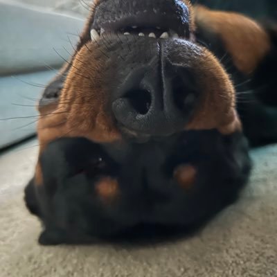 Ryanmod07's profile picture. 