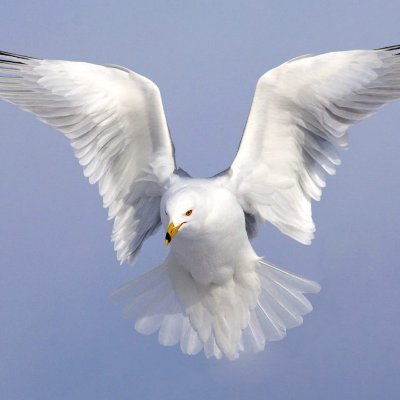 savita_gupta81's profile picture. 