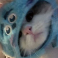 فهیم (@fahimmfahimm) 's Twitter Profile