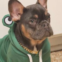 DuffySlycenShank (@cryptnafrican92) 's Twitter Profile