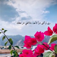 الحمد لله 🕊️ (@8vr79xznis8mseb) Twitter profile photo