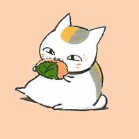 γ
γ
π (@maaaaai_elf626) 's Twitter Profile