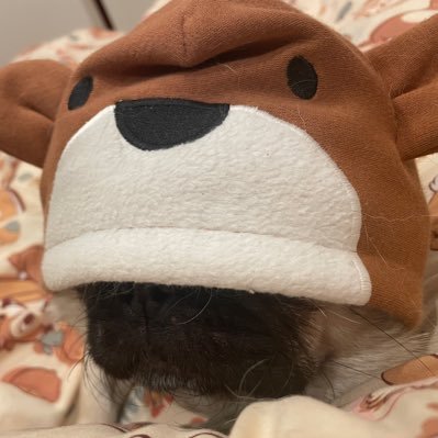 料理と野球とプロレスとボクシングとアニメとゲームが好きです