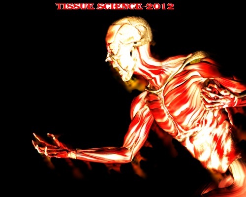 Tissuescience12's profile picture. OMICS Group invites all the participants across the globe to attend the International Conference on Tissue Science and Engineering to be held from 1th Oct 2012