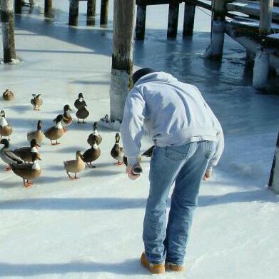 tompiazza21's profile picture. All Things Elon: X Freedom of Speech 🙊, Tesla 🏎, SpaceX 🚀, Neuralink 🧠, Non-Woke xAI 💻, Boring Company 👷‍♂️, Trolling 🧌